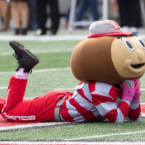 Brutus Buckeye