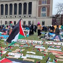 Palestinian flag and other signs on the lawn