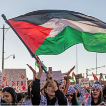 Waving Palestinian flag